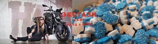 стаф Каменка