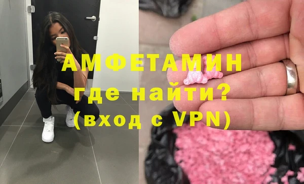 стаф Каменка