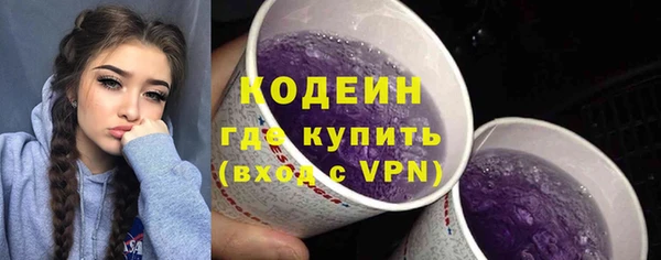 стаф Каменка