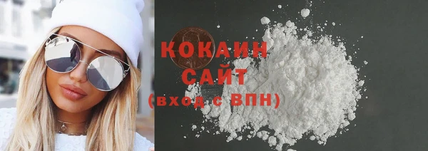 стаф Каменка