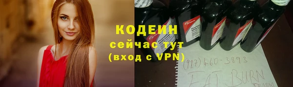 стаф Каменка