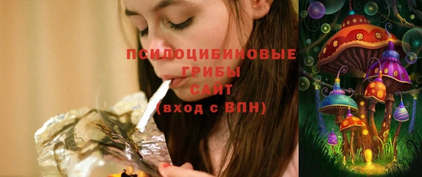стаф Каменка