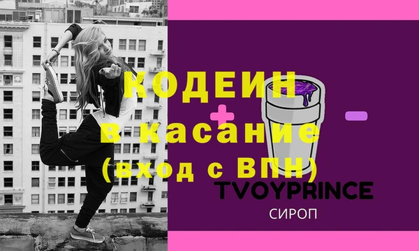 стаф Каменка