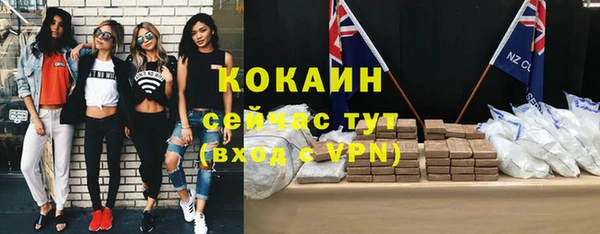 стаф Каменка