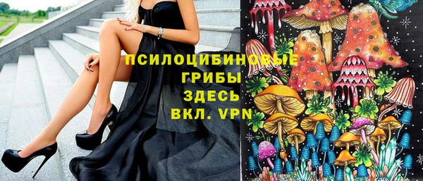 синтетический гашиш Каменногорск