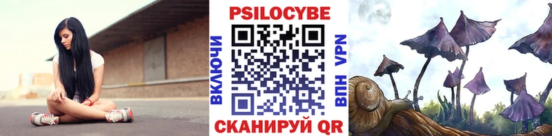 где купить наркоту KRAKEN вход Псилоцибиновые грибы мицелий сайты даркнета клад Ликино-Дулёво