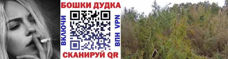 блэк спрут как зайти  Ликино-Дулёво  Марихуана White Widow  купить наркоту 